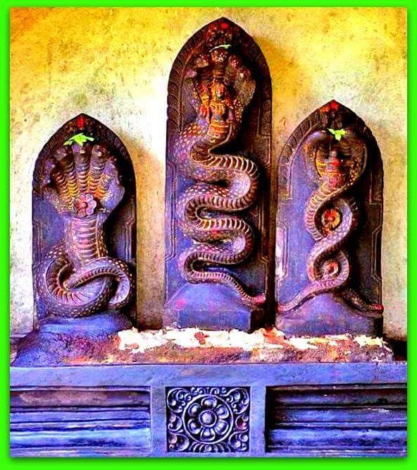 ನಾಗರ ಪಂಚಮಿ ಆಚರಣೆ ಬಗ್ಗೆ ಸಂಪೂರ್ಣ ಮಾಹಿತಿ